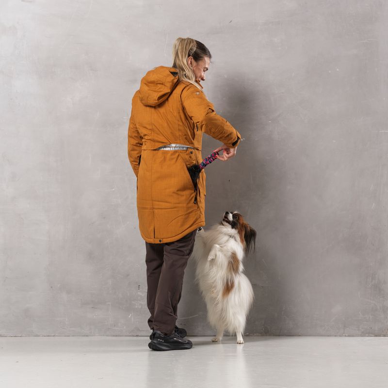 DogCoach Parka 10.0 | Mustard