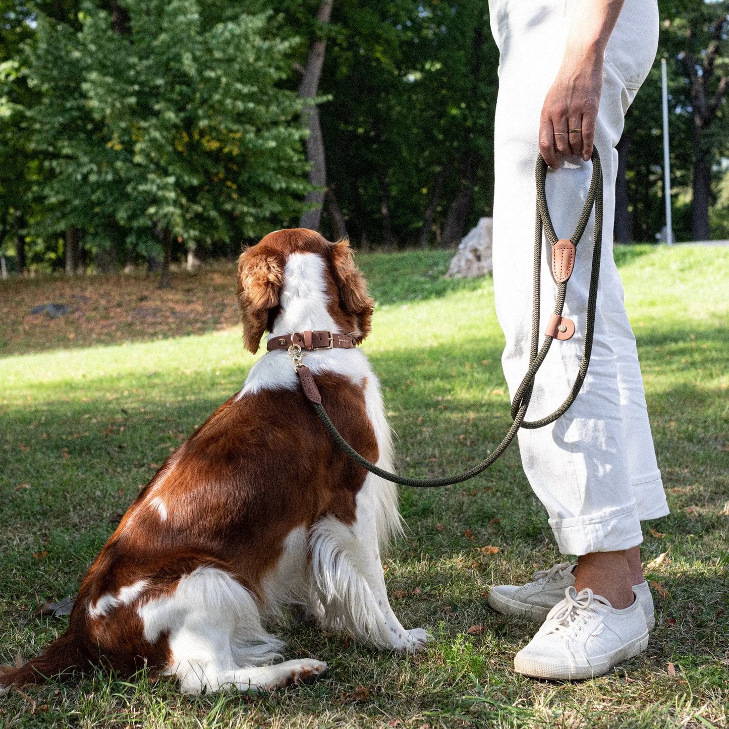 Hundekobbel Torekov Shimmer Green – Denjo Dogs