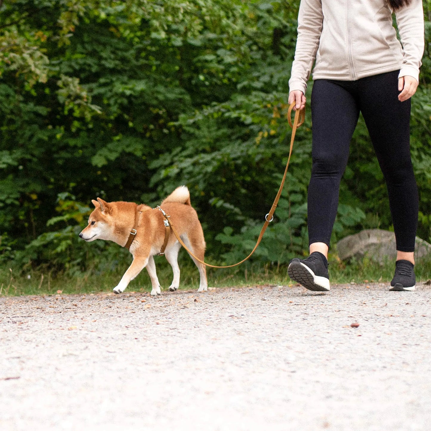 Justerbart Kobbel Signature Go Sennepsgul – Denjo Dogs