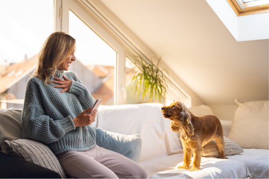 Hvordan få hunden til å slutte å bjeffe – Uten straff og skadende hjelpemidler