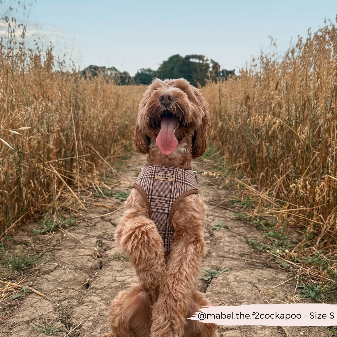 Cocopup Pup Plaid Hundesele