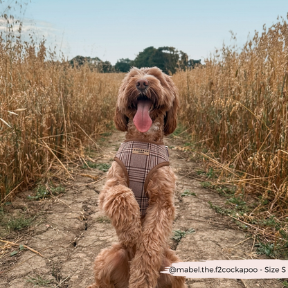 Cocopup Pup Plaid Hundesele