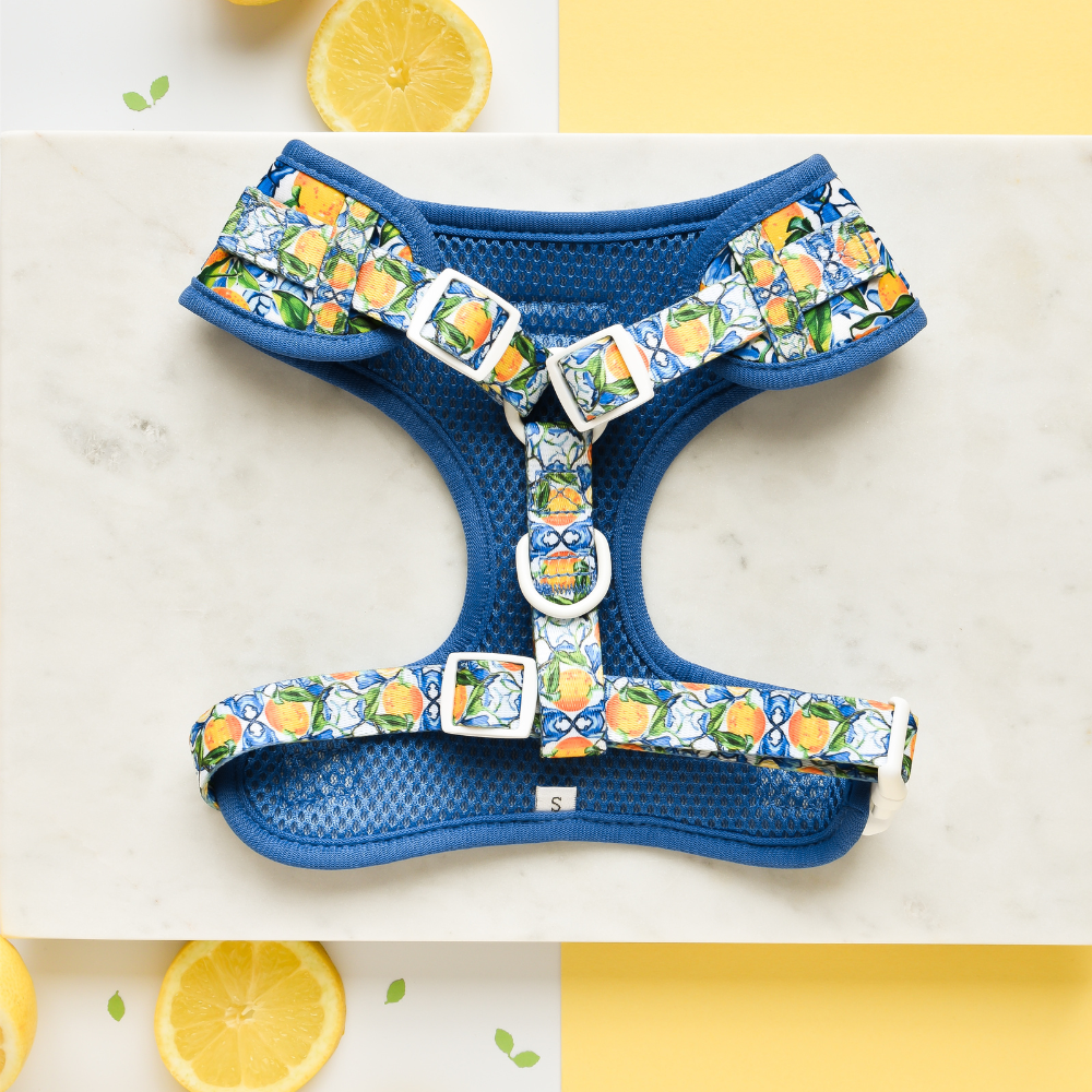 Cocopup Amalfi Lemon Hundesele