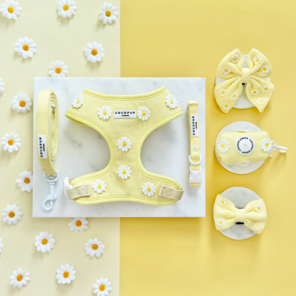 Cocopup Buttercup kobbel