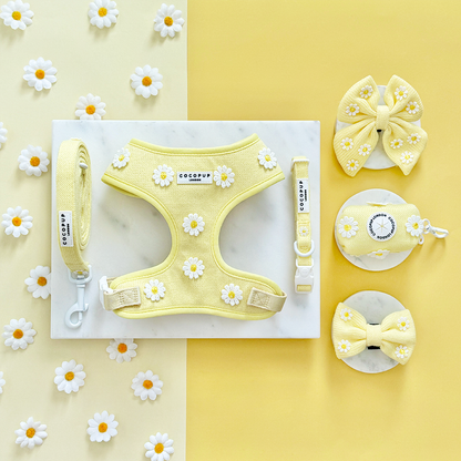 Cocopup Buttercup kobbel