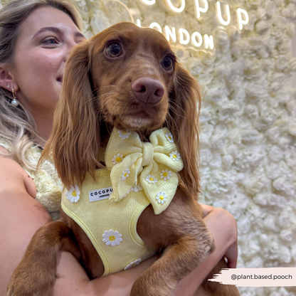Cocopup Buttercup Hundesele