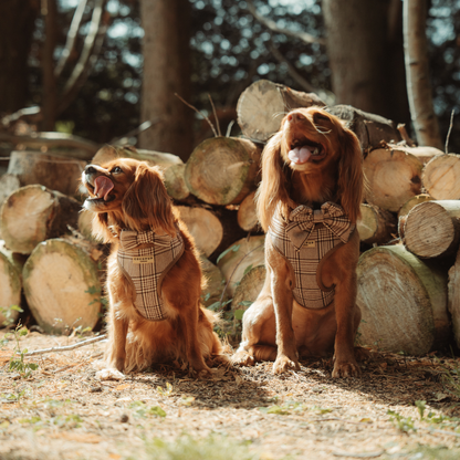 Cocopup Pup Plaid Hundesele