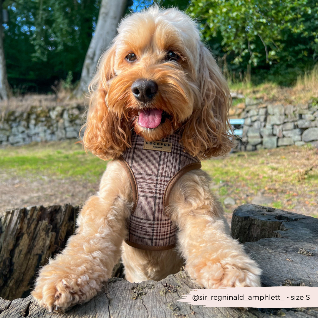 Cocopup Pup Plaid Hundesele