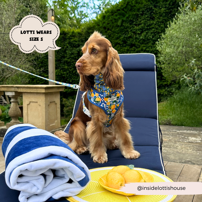 Cocopup Amalfi Lemon Hundesele