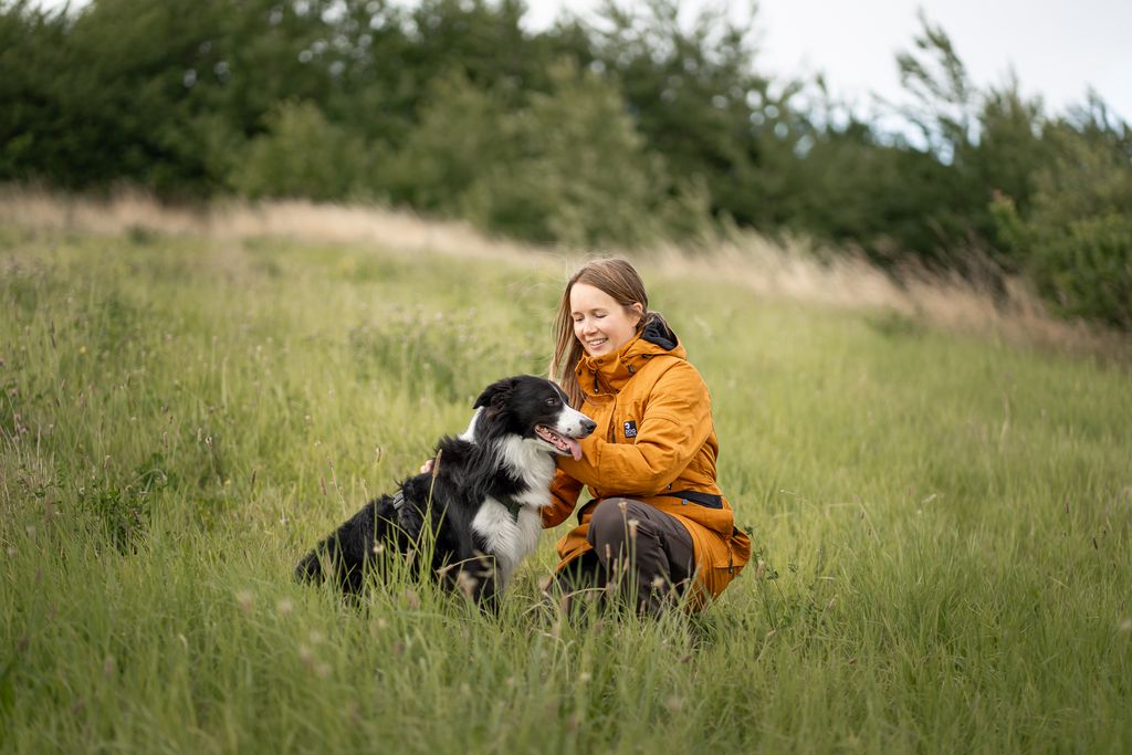 DogCoach Parka 10.0 | Mustard