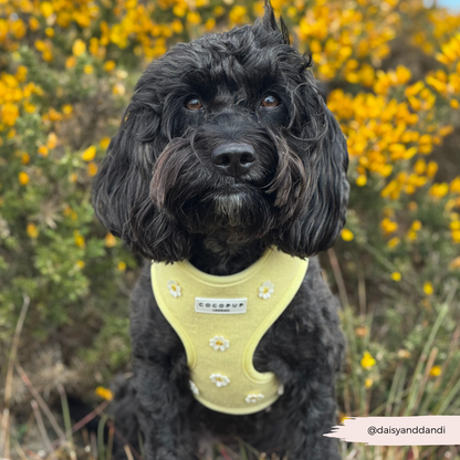 Cocopup Buttercup Hundesele