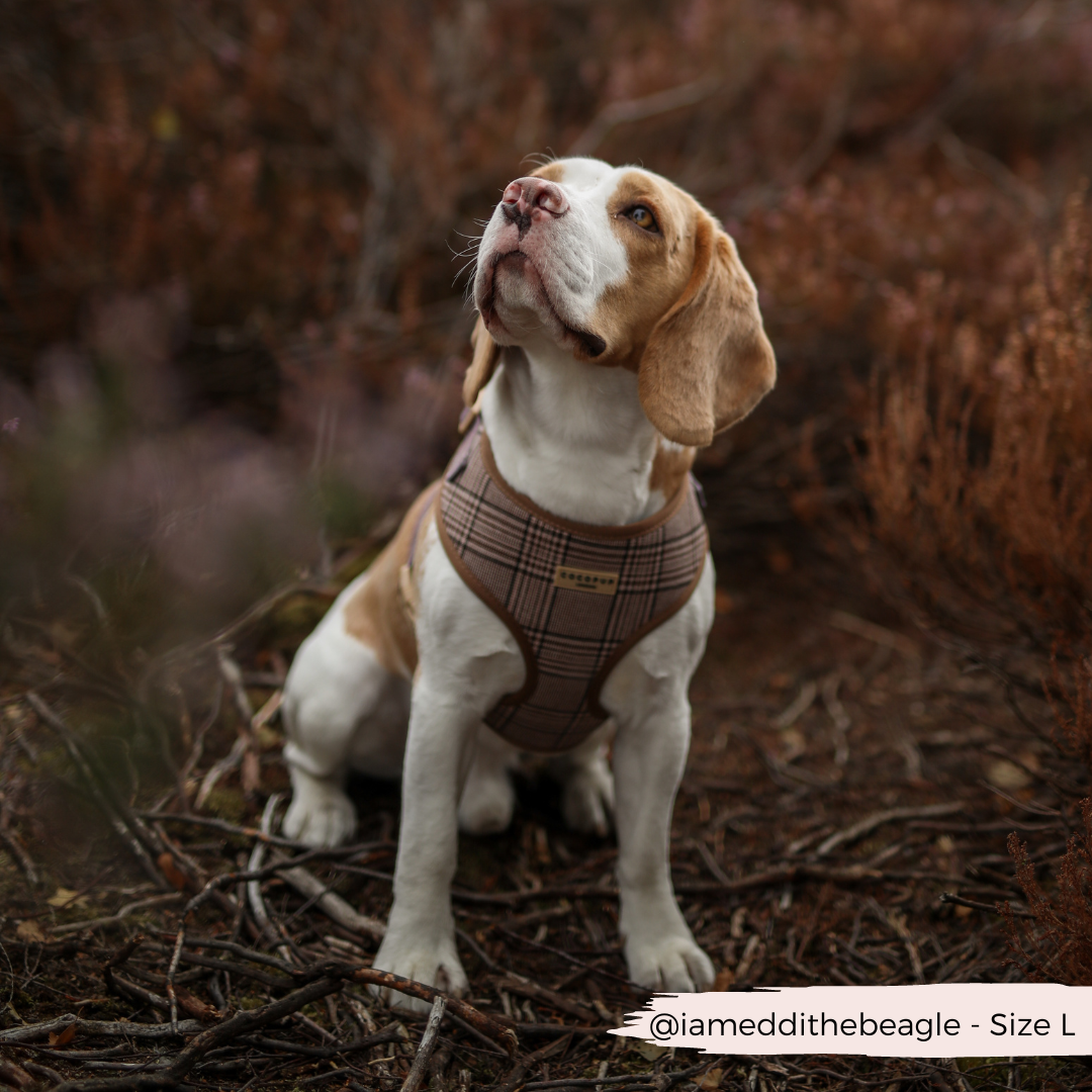 Cocopup Pup Plaid Hundesele