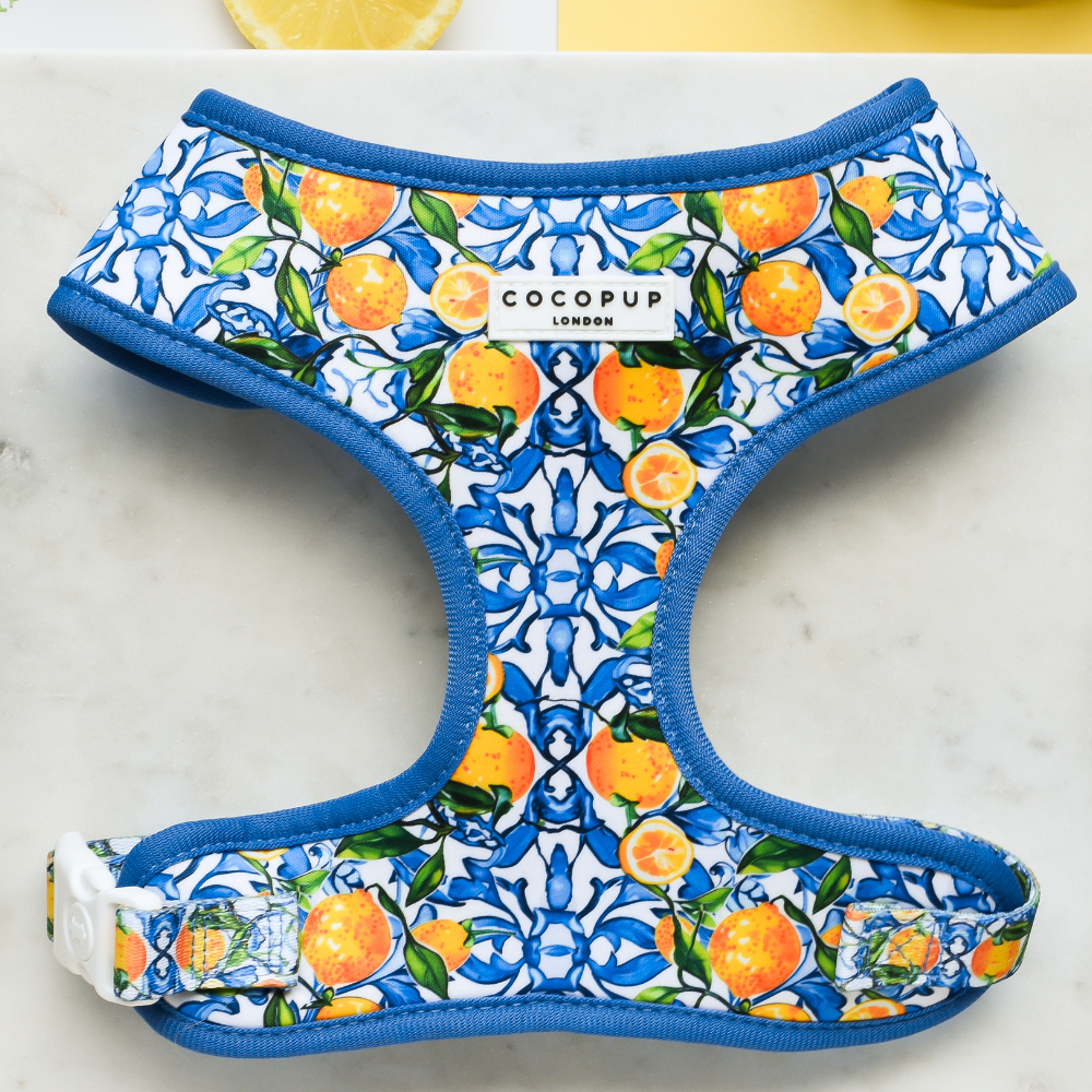 Cocopup Amalfi Lemon Hundesele
