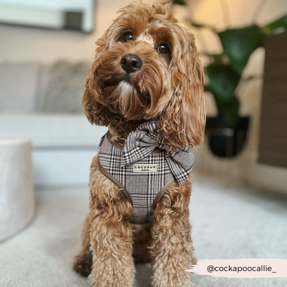 Cocopup Pup Plaid Hundesele