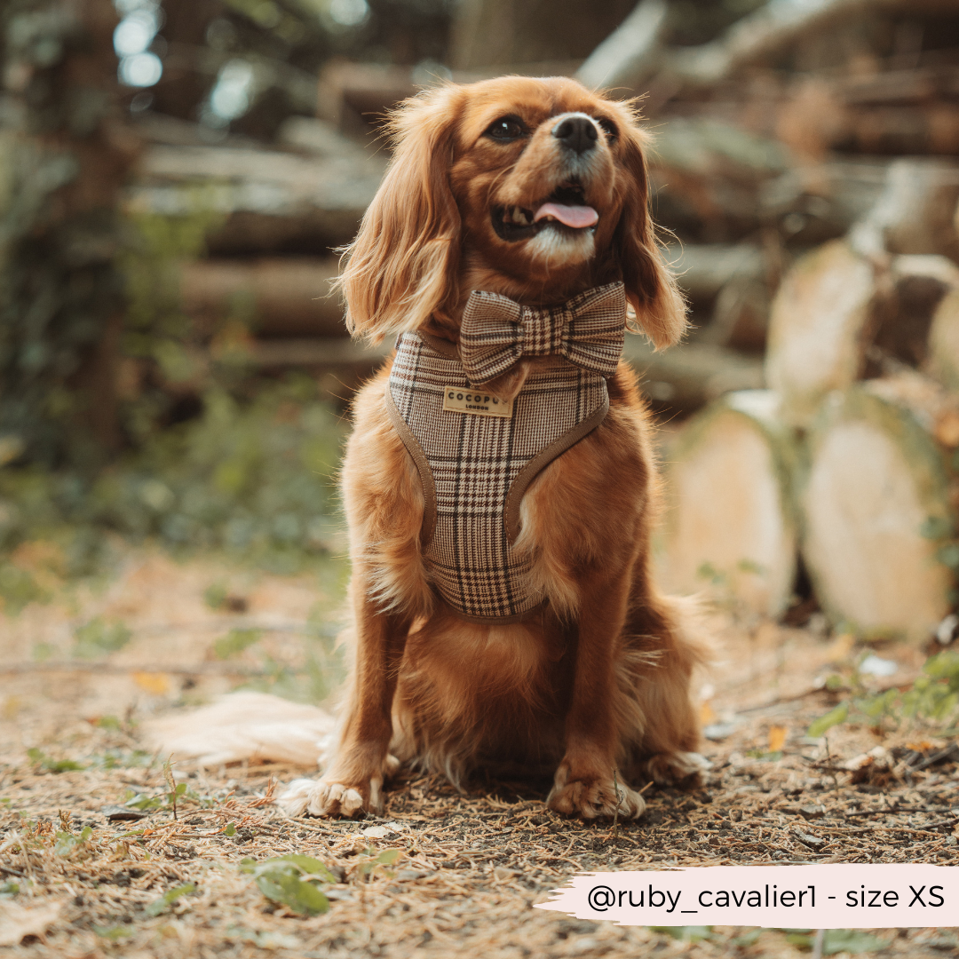 Cocopup Pup Plaid Hundesele