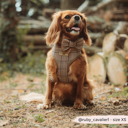 Cocopup Pup Plaid Hundesele