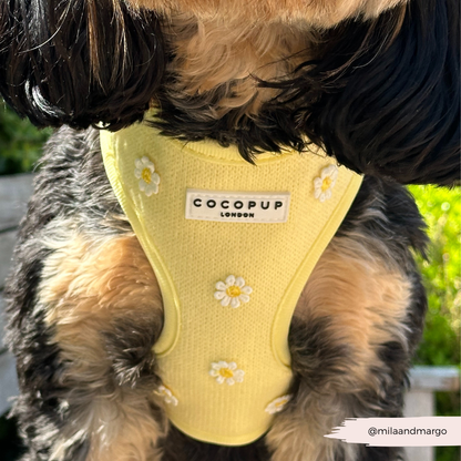 Cocopup Buttercup Hundesele