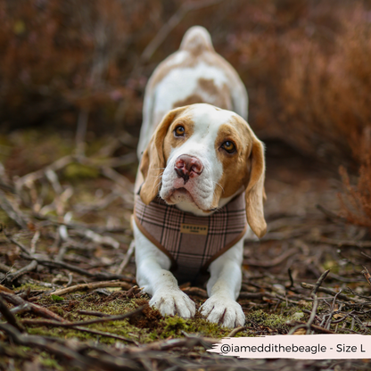 Cocopup Pup Plaid Hundesele