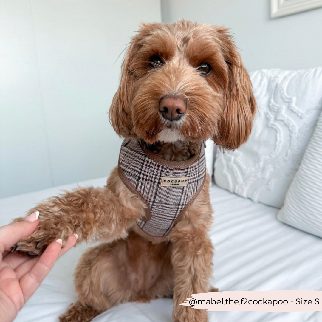 Cocopup Pup Plaid Hundesele