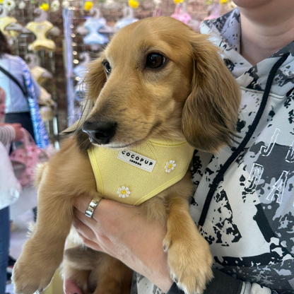 Cocopup Buttercup Hundesele