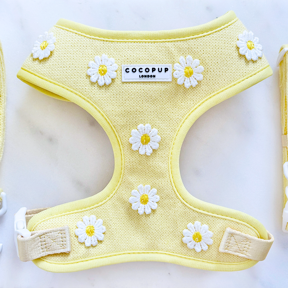Cocopup Buttercup Hundesele