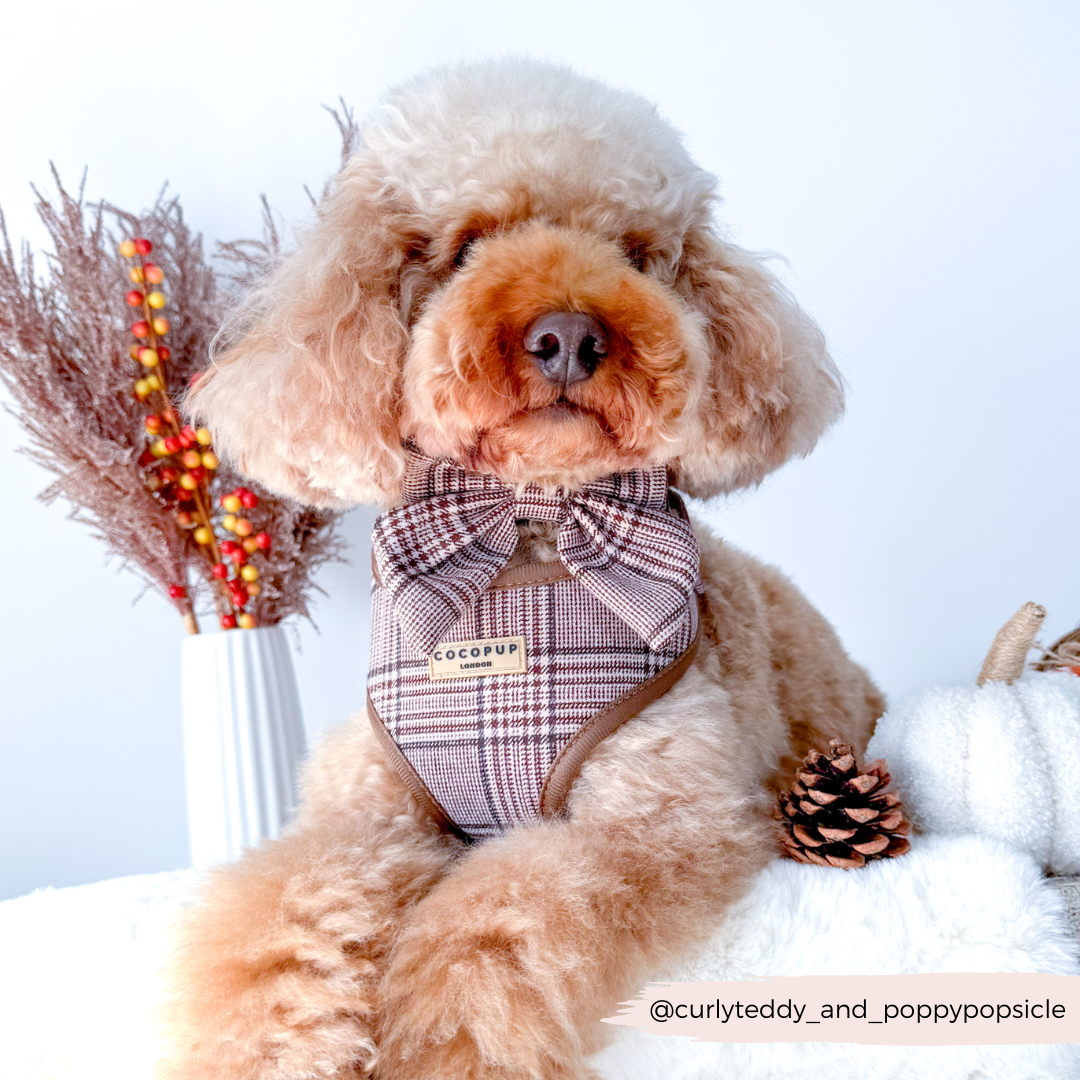 Cocopup Pup Plaid Hundesele