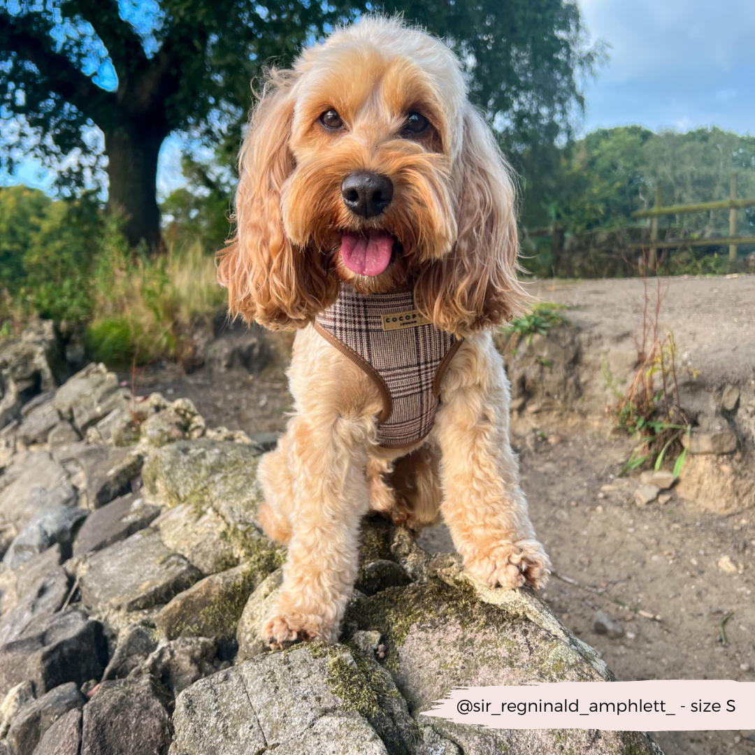 Cocopup Pup Plaid Hundesele