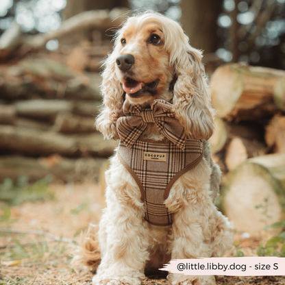 Cocopup Pup Plaid Hundesele