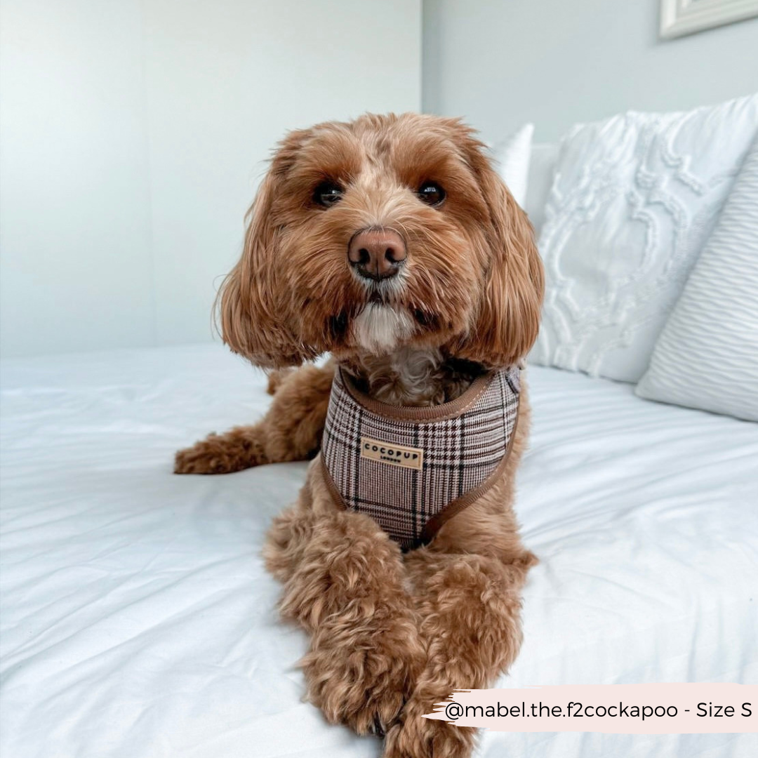 Cocopup Pup Plaid Hundesele