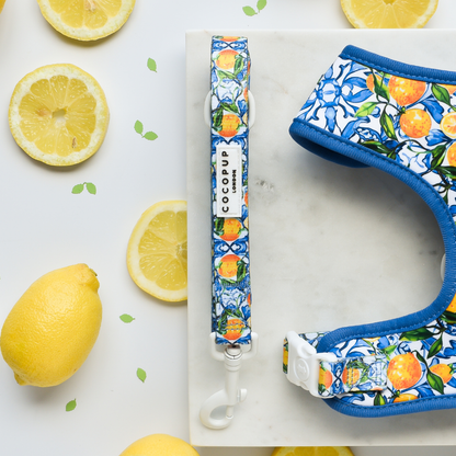 Cocopup Amalfi Lemon Kobbel