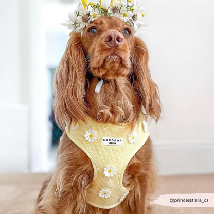 Cocopup Buttercup Hundesele