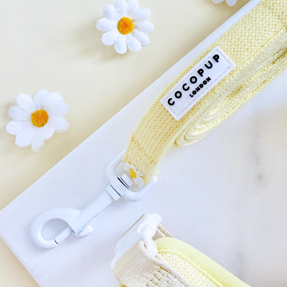 Cocopup Buttercup kobbel