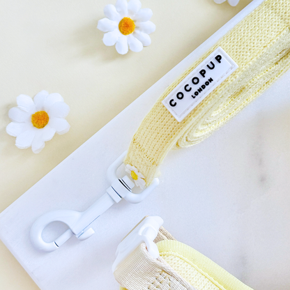 Cocopup Buttercup kobbel