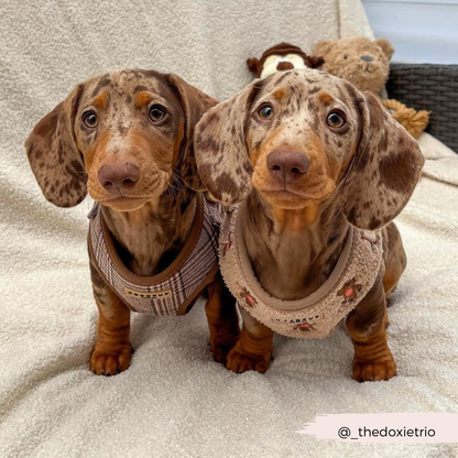 Cocopup Pup Plaid Hundesele