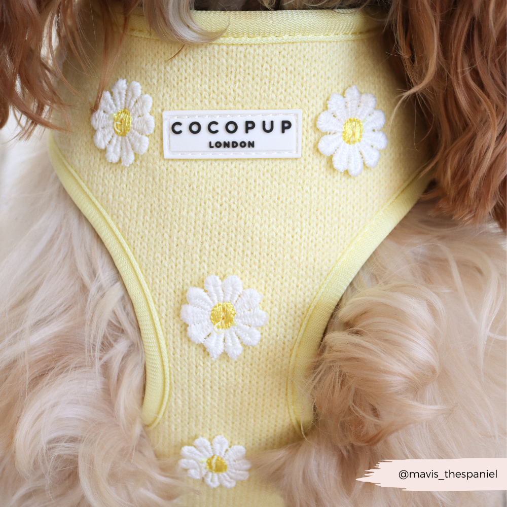 Cocopup Buttercup Hundesele