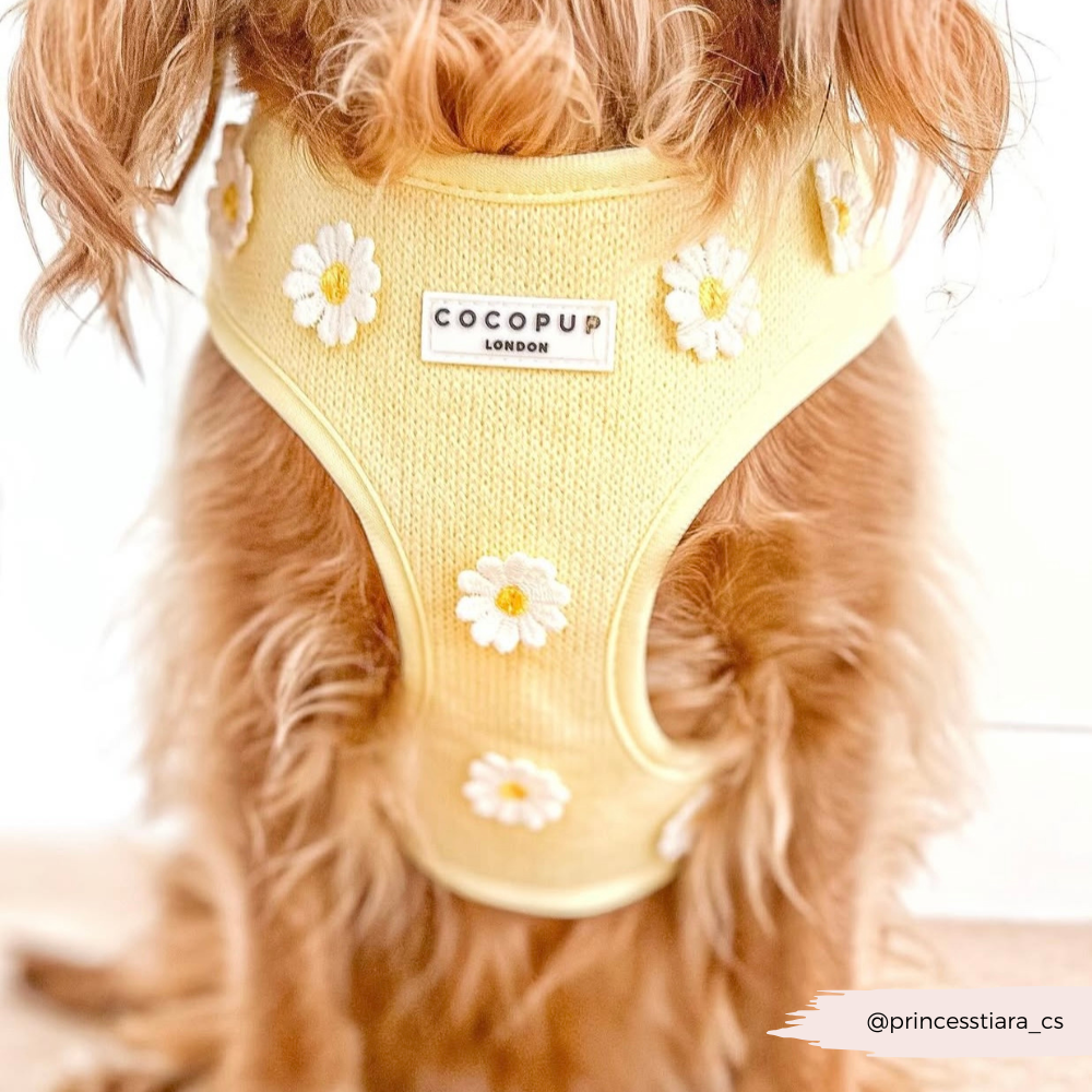 Cocopup Buttercup Hundesele