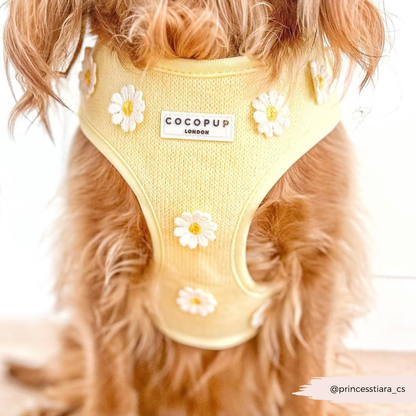 Cocopup Buttercup Hundesele