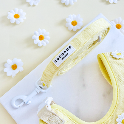 Cocopup Buttercup kobbel