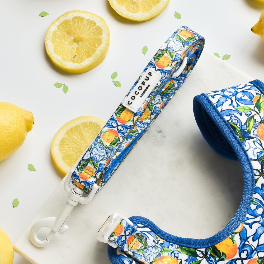 Cocopup Amalfi Lemon Kobbel