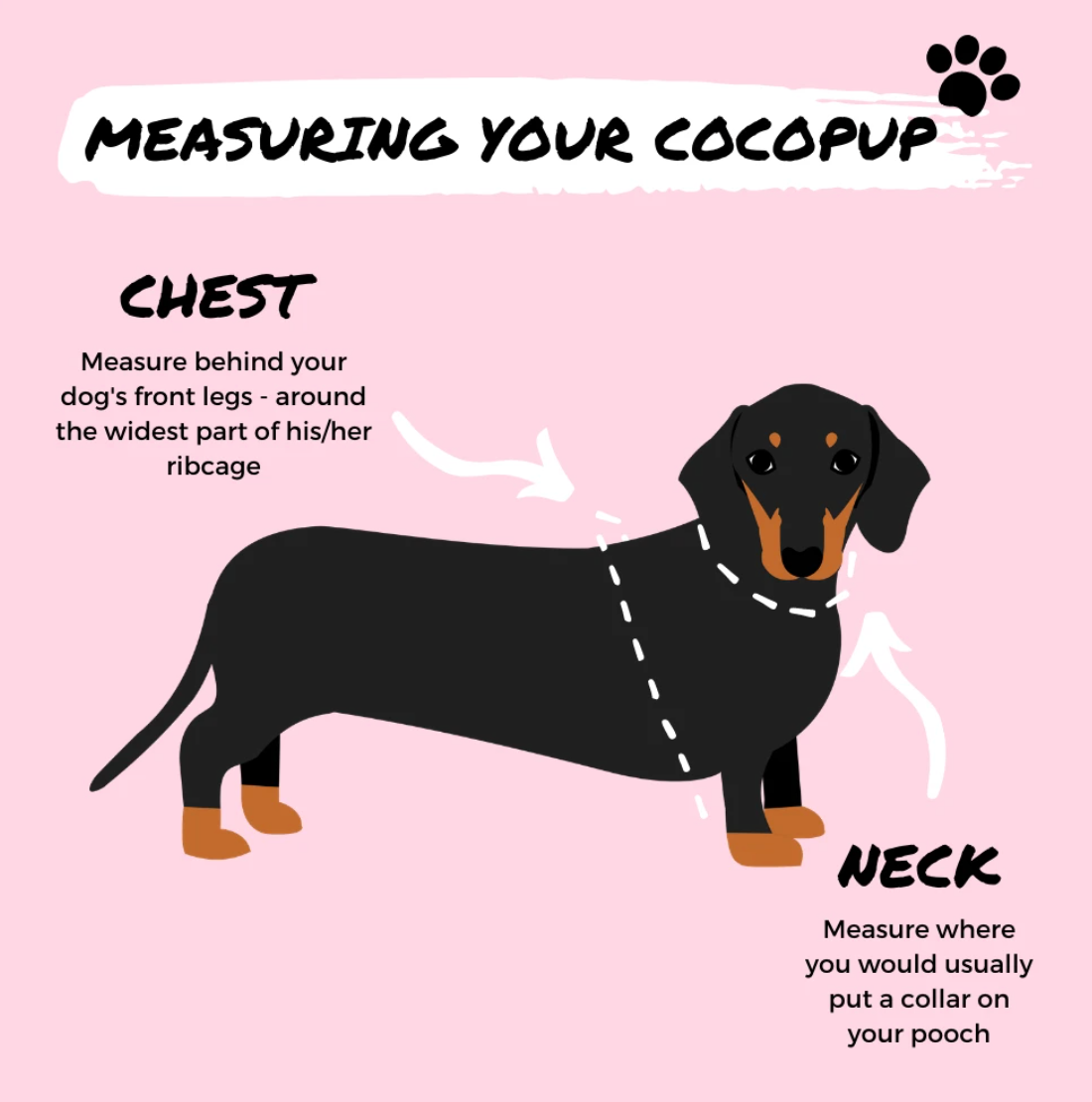 Cocopup Amalfi Lemon Hundesele