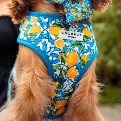 Cocopup Amalfi Lemon Hundesele