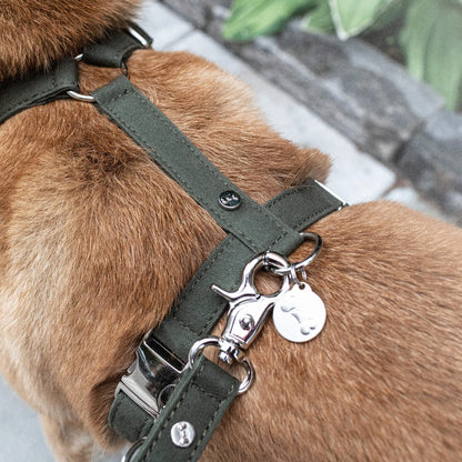 Hundesele Signature Go Khaki – Denjo Dogs