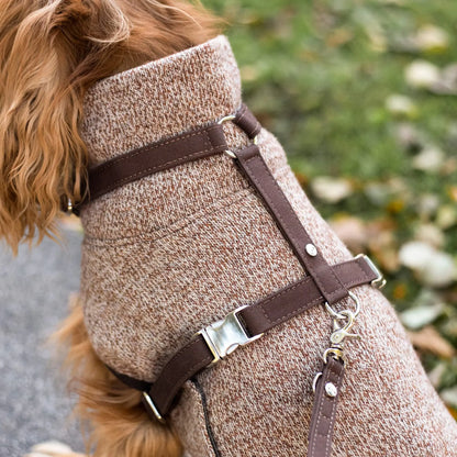 Hundesele Signature Go Sjokolade – Denjo Dogs