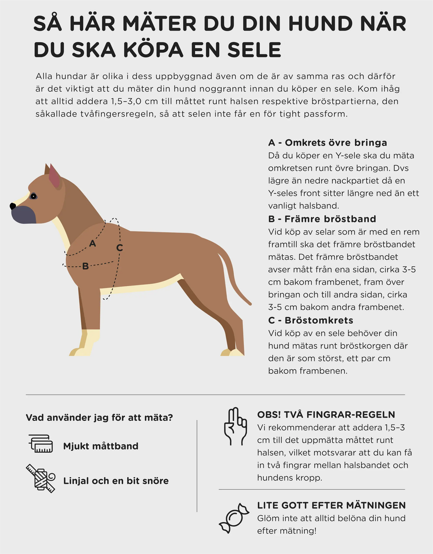 Hundesele Signature Go Sjokolade – Denjo Dogs