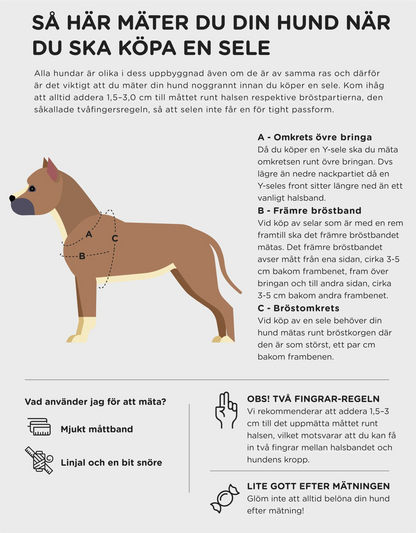 Hundesele Signature Go Sjokolade – Denjo Dogs