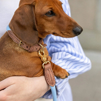 Hundehalsbånd Torekov Hortensia Blue - Denjo Dogs