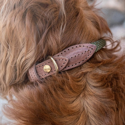 Hundehalsbånd Torekov Shimmer Green - Denjo Dogs