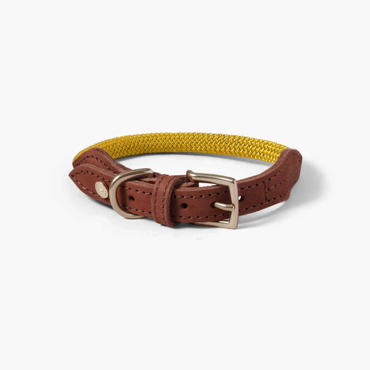 Hundehalsbånd Torekov Sunflower Yellow - Denjo Dogs