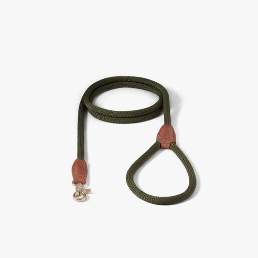 Hundekobbel Torekov Shimmer Green – Denjo Dogs