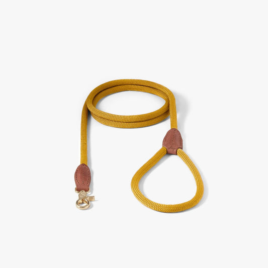 Hundekobbel Torekov Sunflower Yellow – Denjo Dogs